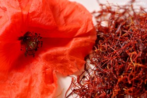 Papavero e pistilli di zafferano con scritta