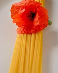 Poppies golden spaghetti