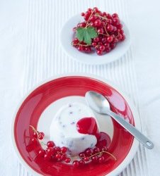 Red currants cassata