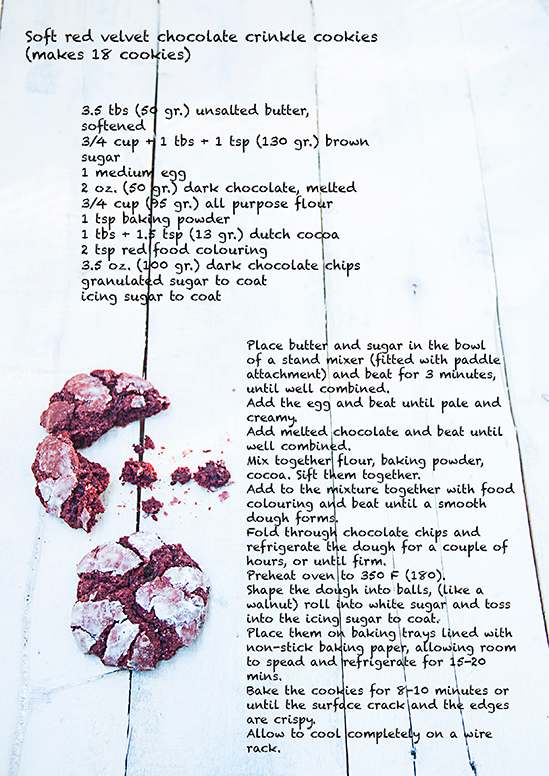 Recipe web