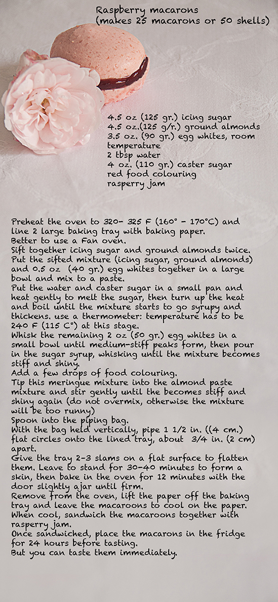Recipe Macarons web