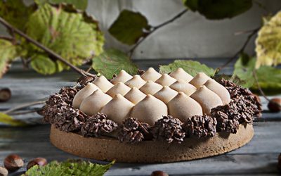 Gianduja tart