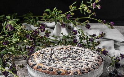 Blueberries soft cake