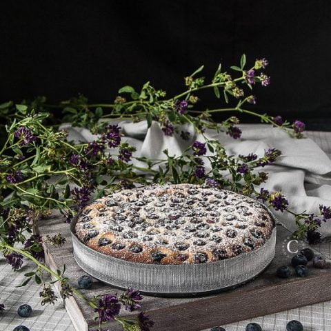 torta morbida ai mirtilli