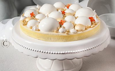 Yogurt tart