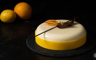 Entremets agli agrumi e cioccolato