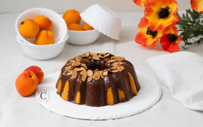 Pan di albicocche e cioccolato