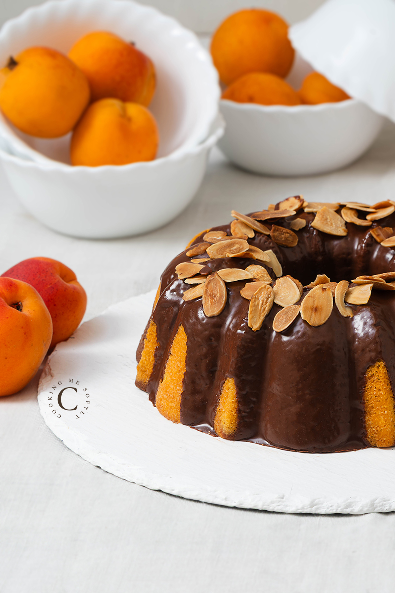 pan di albicocche e cioccolato